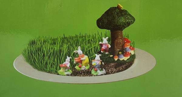 Mini Hasengarten mit Rasensamen